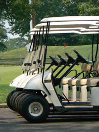 Golf Carts lined up and ready